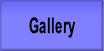 wp0b5d449e.png